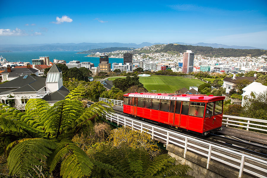 New Zealand. Image Credit: Shutterstock