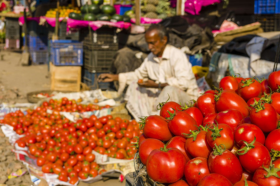 Tomato vendors are having a hard time procuring and selling tomatoes at a high prices.Image: Frank Bienewald/LightRocket via Getty Images