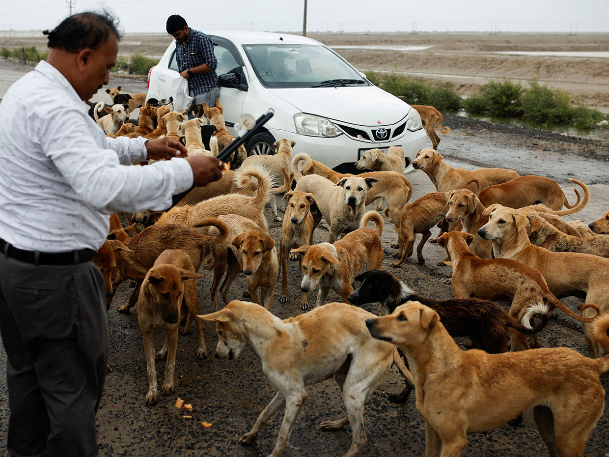 Image: Francis Mascarenhas / REUTERS