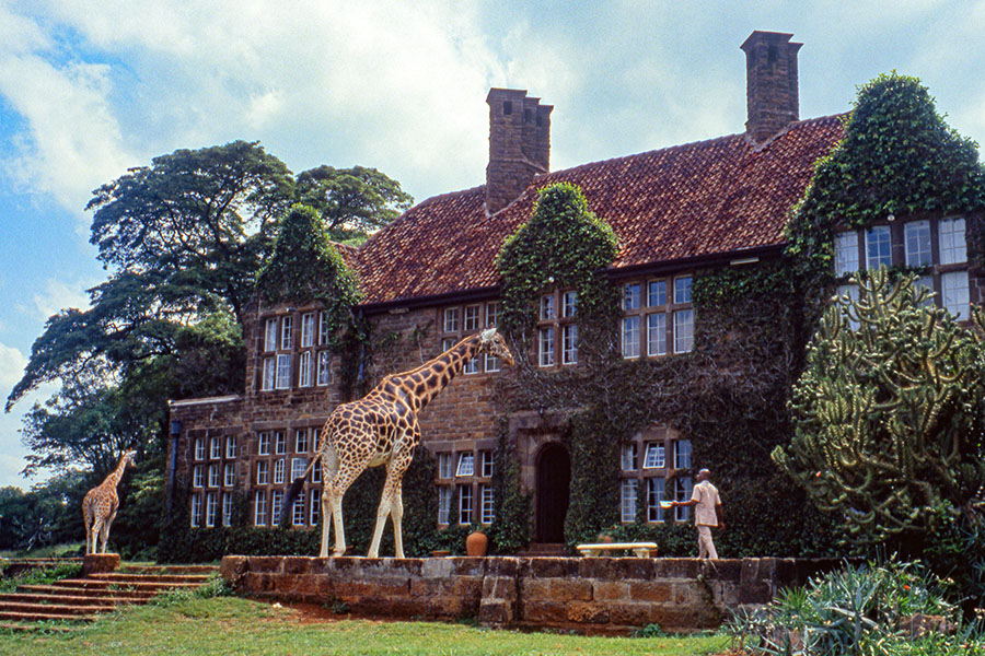 Exterior view of the Giraffe Manor Hotel, as two giraffes stands outside, Nairobi, Kenya.Image credit:Edoardo Fornaciari/Getty Images