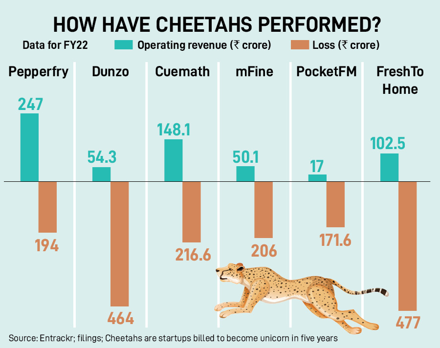 ASK Private Wealth Hurun India index comes up with a comprehensive list of valuations, numbers and types of ‘animals’, what is strikingly missing in the startup forest is animal instinct in terms of focusing on unit economics and building a sustainable business
Illustration: Chaitanya Dinesh Surpur