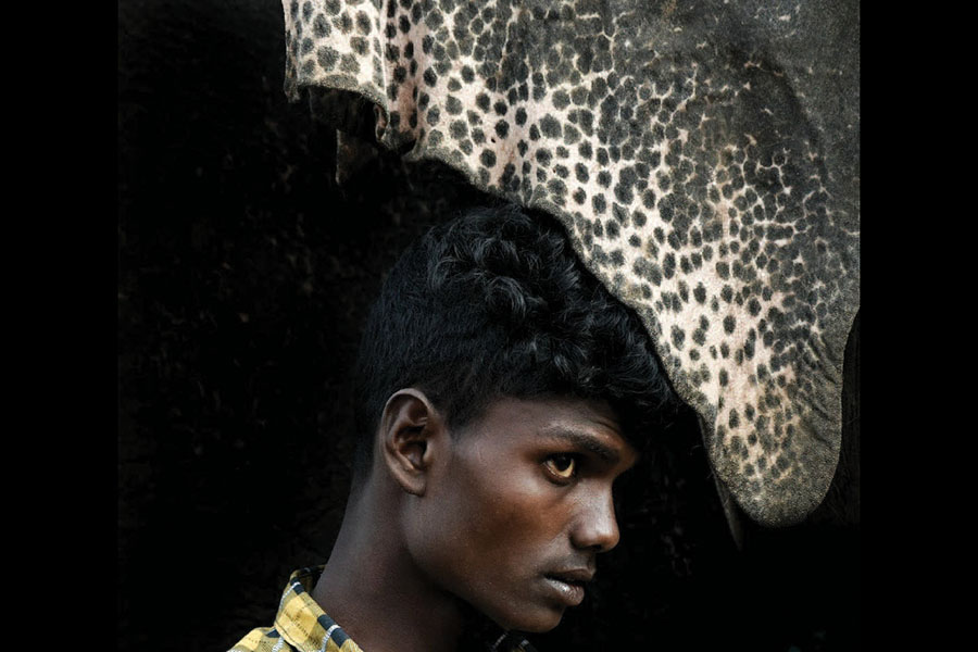 Sharma’s portraits made amidst the chaos of street life are islands of quiet. 