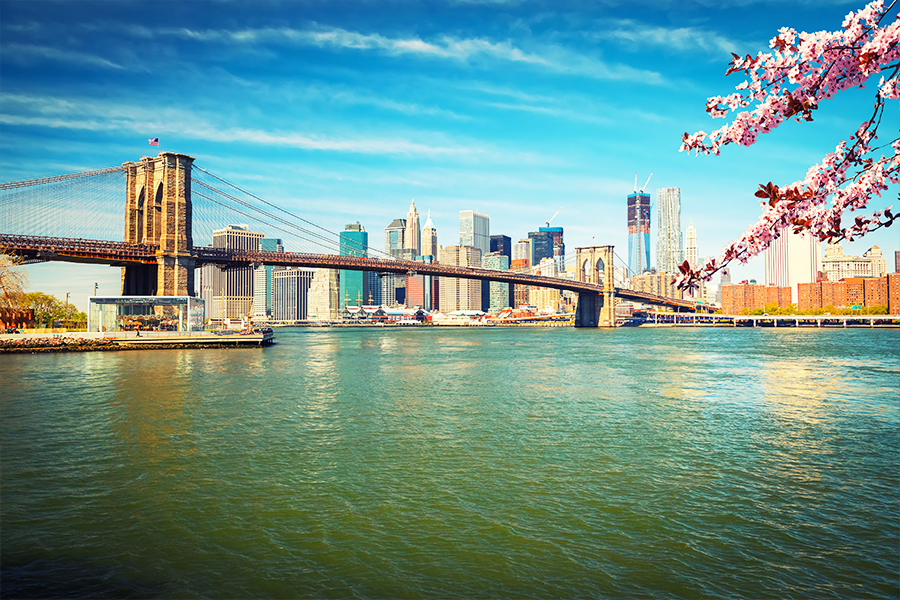 New York City. Image credit: Shutterstock
