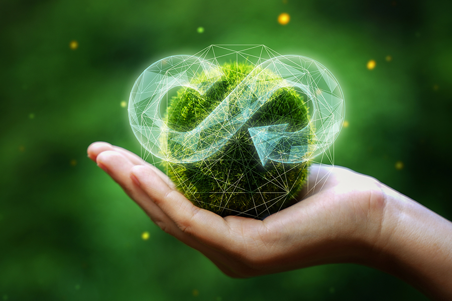 By applying nondisruptive creation to the environmental challenge, Beyond Disruption shows that companies can create a positive-sum outcome for business, the environment and society where no one is made worse off.
Image: Shutterstock