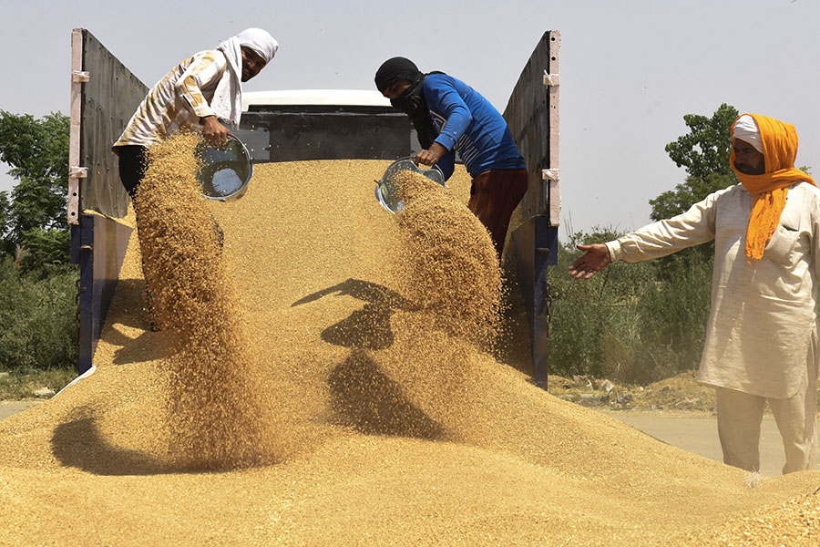 (File) Labourers unload wheat grain from a trailer at a wholesale grain market on the outskirts of Amritsar. Image: Narinder NANU / AFP