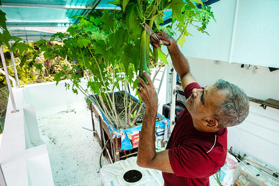 Jibu Thettayil, a resident of Naigaon, shows earthworms, which he feeds to the fish living in his aquaponics setup.