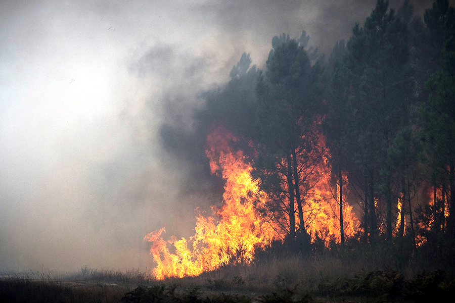 In a new study published in the journal Nature, researchers used data, machine learning and modelling to estimate global daily quantities of fine particles called PM2.5 and surface ozone concentrations emitted by landscape fires between 2000 and 2019.
Image: Philippe Lopez / AFP©