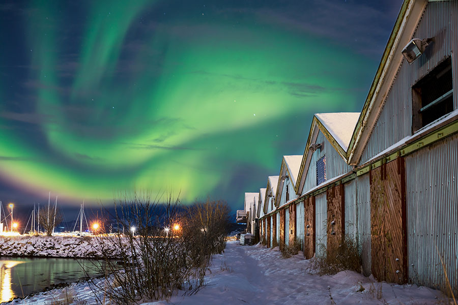 Narvik, Norway. Image credit: Shutterstock