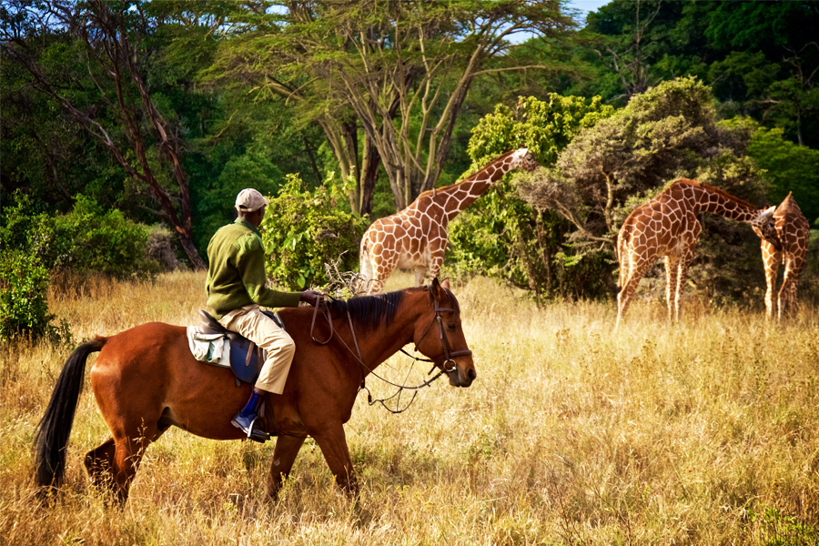 Kenya. Image credit: Shutterstock