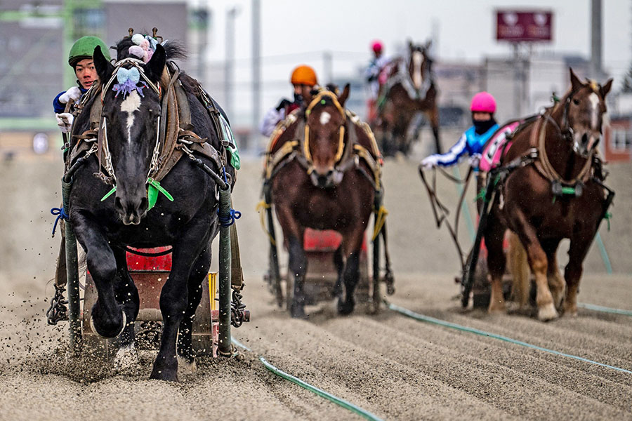 A Banei Keiba horse race at the Obihiro racecourse in Obihiro, Hokkaido Prefecture A Banei Keiba horse race at the Obihiro racecourse in Obihiro, Hokkaido Prefecture
Image: Philip Fong / AFP©
