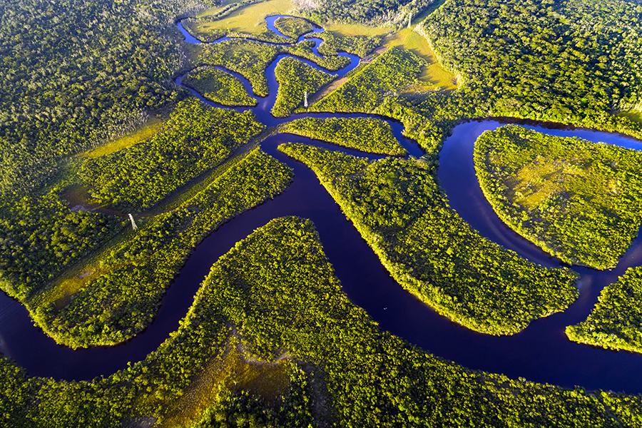 
In the latest study, published in the journal Nature, an international group of scientists estimated that between 10 and 47 percent of the Amazon will be exposed to stress by 2050 that could lead to widespread ecosystem change. Image: Shutterstock