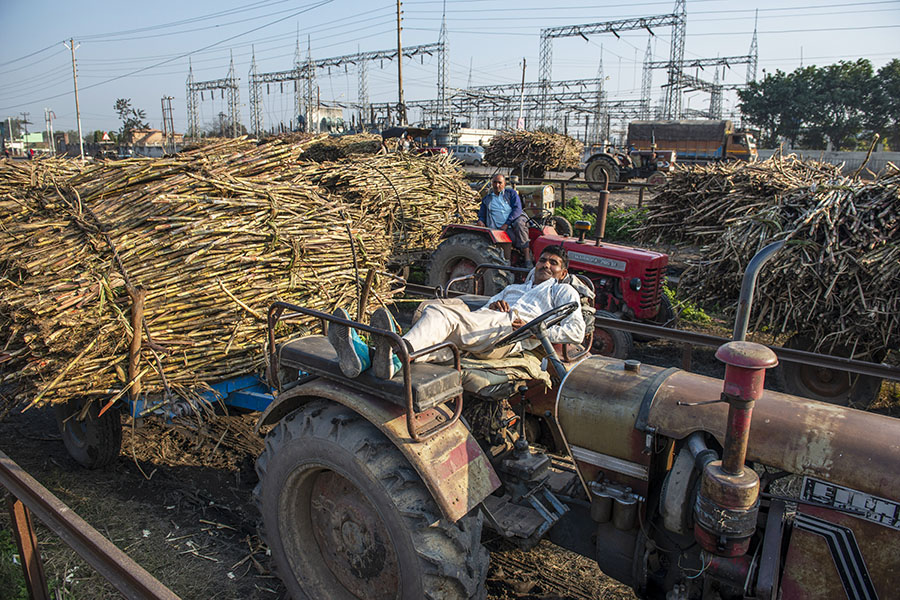 (File) Sugarcane farmers are seen in a queue waiting to sell harvested sugarcane outside at Baghpat cooperative sugar mills ltd, Baghpat. Image: Pradeep Gaur/SOPA Images/LightRocket via Getty Images 