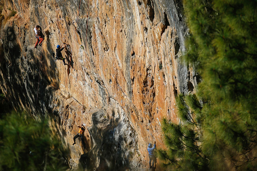 
Image: Omer Taha Cetin/Anadolu Agency via Getty Images