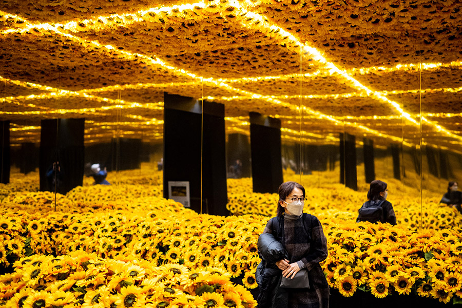 People visit the sunflowers installation, which is a part of the immersive exhibition titled, Van Gogh Alive, featuring large-scale Van Gogh artworks, produced by Grande Experiences during a media event in Tokyo on January 11, 2024. Image: Philip Fong/AFP 