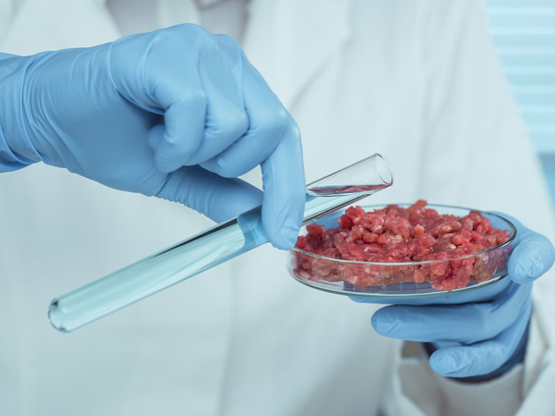 The UK becomes the first European country to approve lab-grown meat