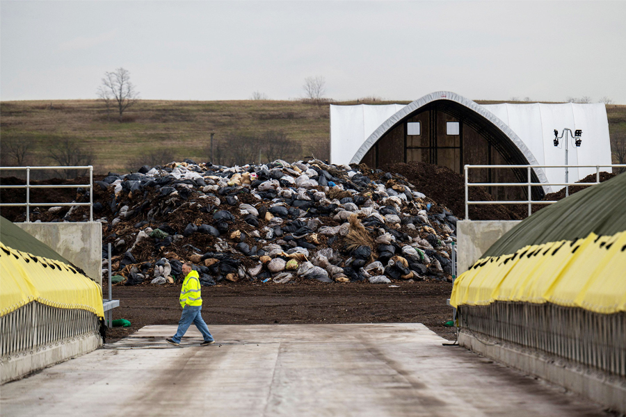 A worker walks past piles of collected leaves at the New York City Department of Sanitation (DSNY) Staten Island Compost Facility.
Image: Angela Weiss / AFP©