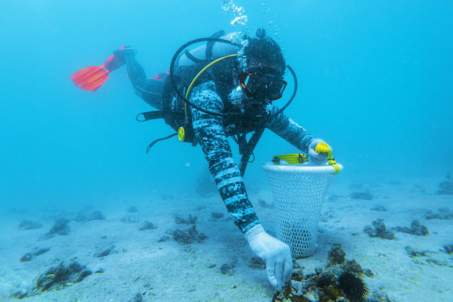 A DANAT pearl diver harvests oysters in the waters of Muharraq, Bahrain Image: Courtesy DANAT