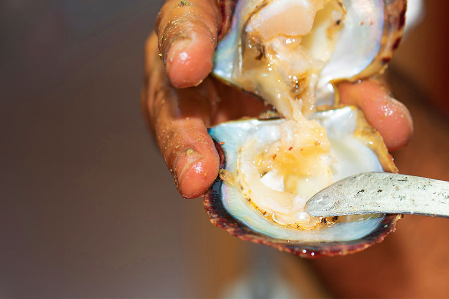 A DANAT pearl diver harvests oysters in the waters of Muharraq, Bahrain Image: Courtesy DANAT
