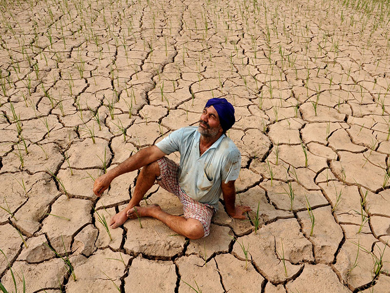 Seeds of Debt: How loan waivers affect the farmers and the economy